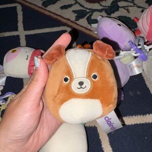 bernie the dog squish keychain